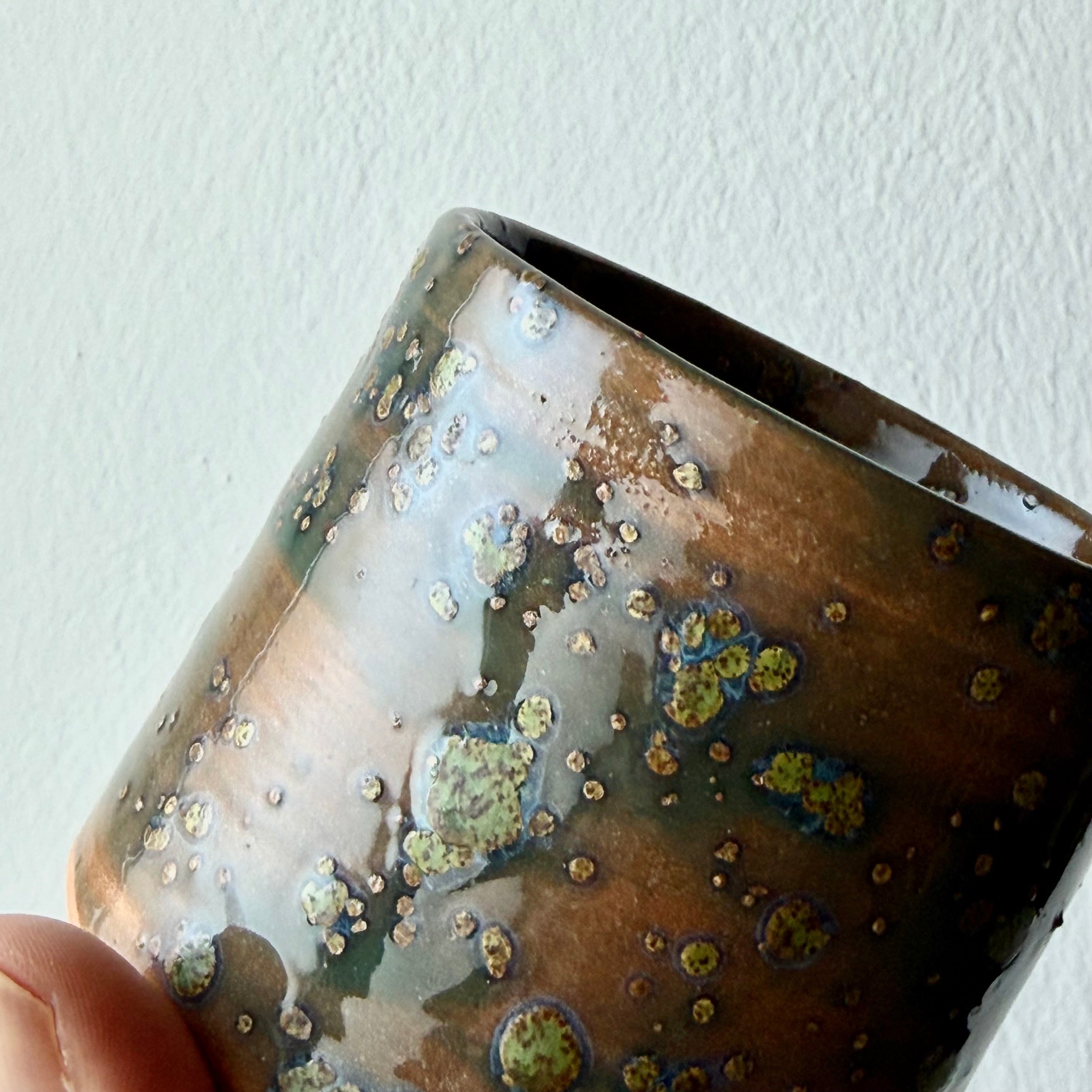 Tazza Lichene