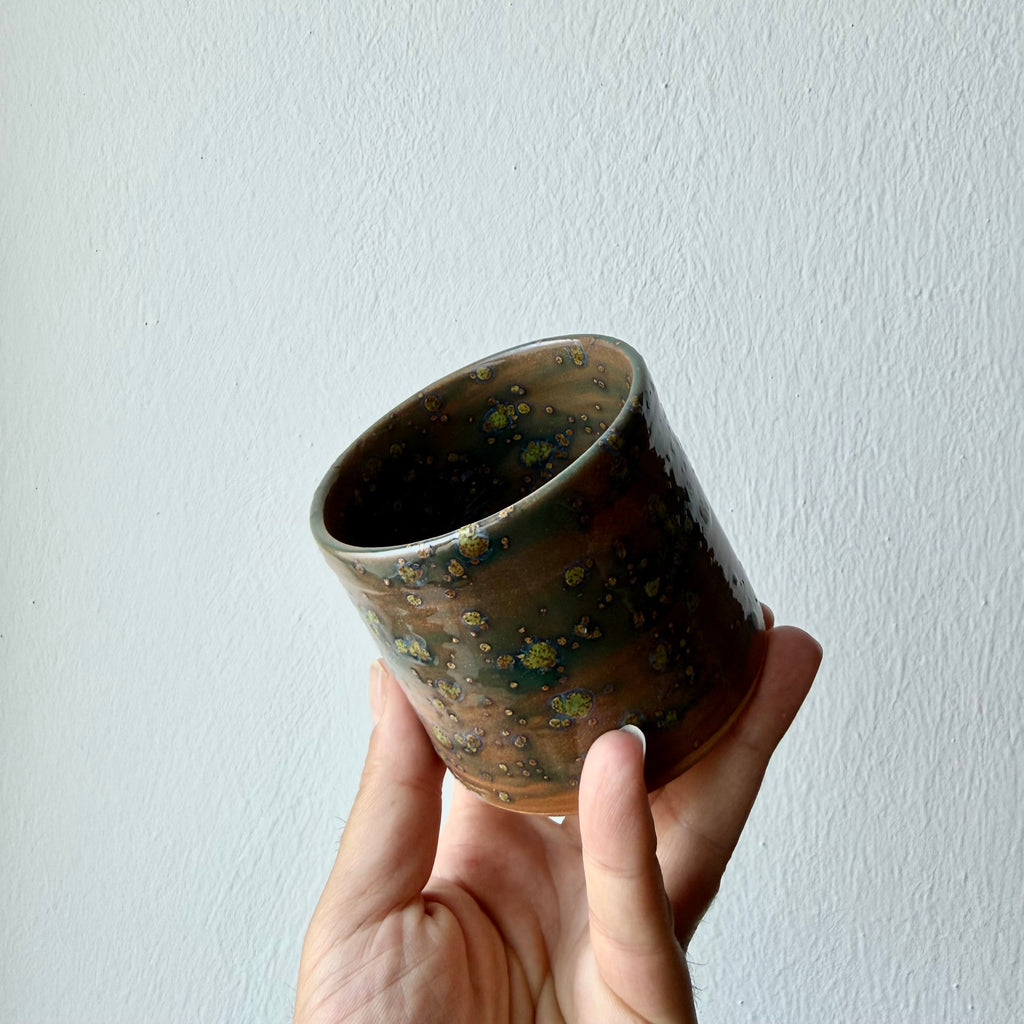 Tazza Lichene