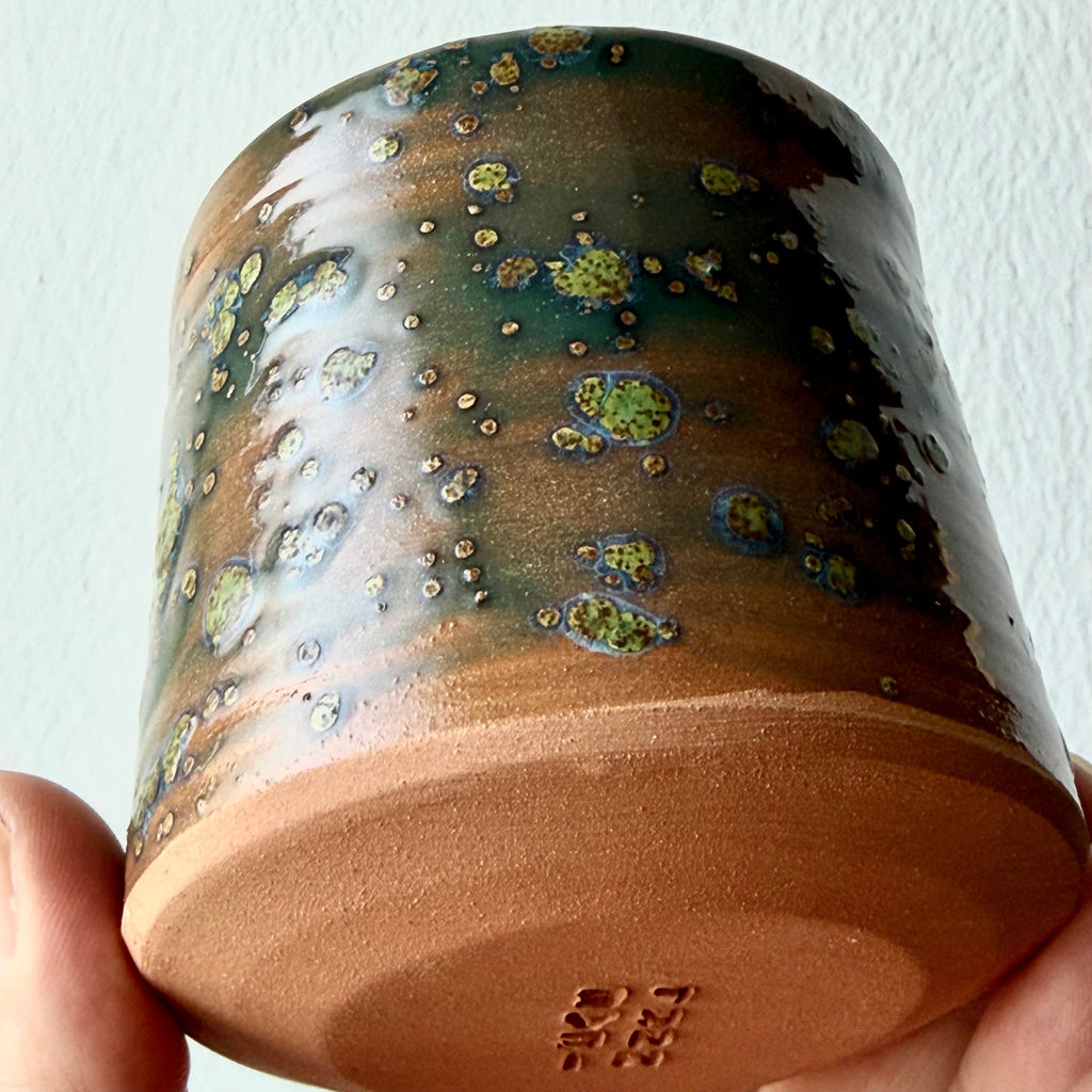 Tazza Lichene