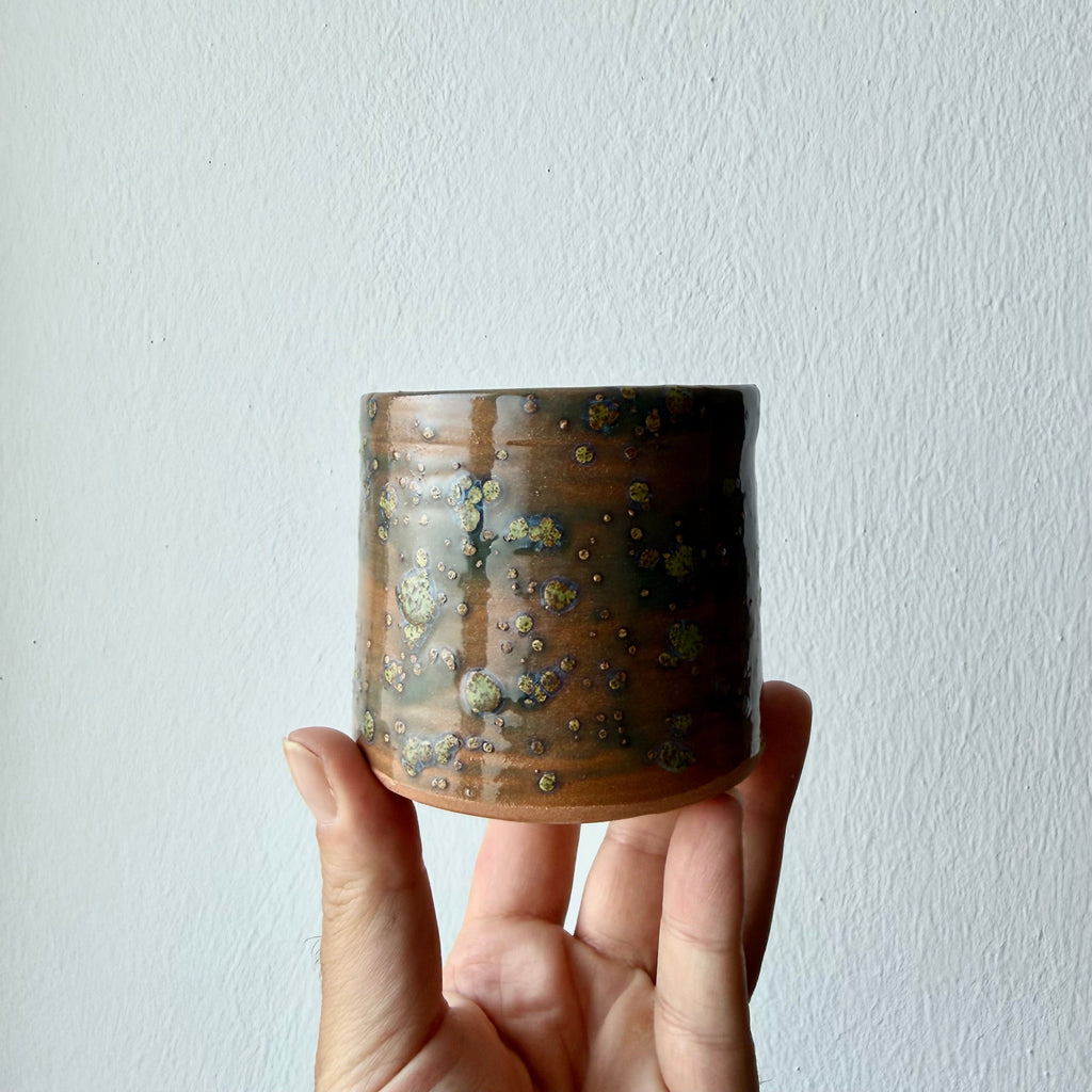 Tazza Lichene
