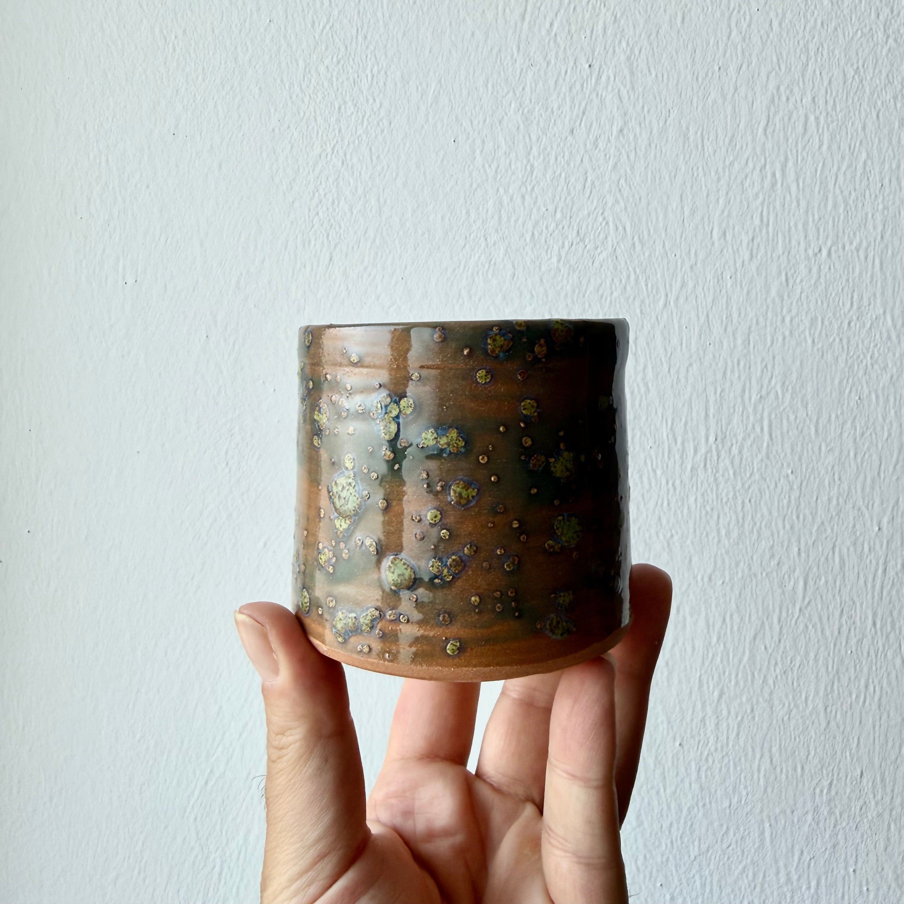 Tazza Lichene