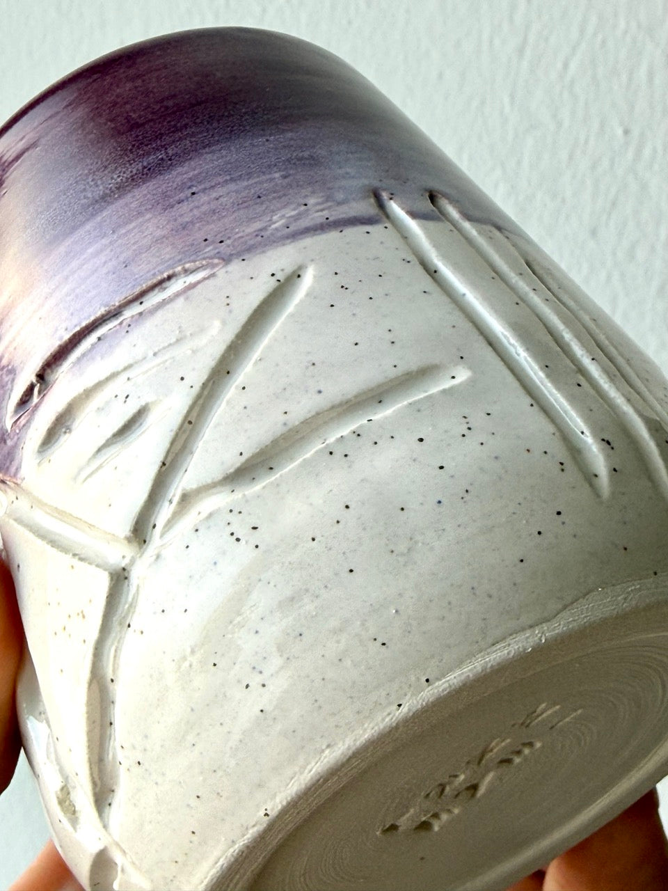 Tazza Viola — vista frontale