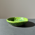 Shaving Bowl Foresta - set fotografico professionale